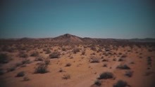 Song of Deliverance (Lyric Video)