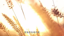 韩红《青春》