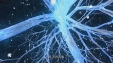 《后来的我们》致敬2018！