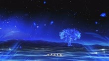 孙燕姿《我也很想他》
