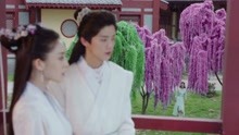 郁可唯 - 郁可唯 - 《心不由己》