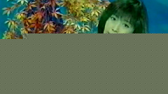 真的还是假的