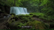 用你笑容为我祭奠！