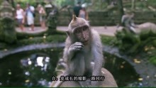 《爱情也有生命》
