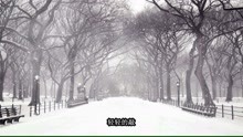 度过每一个寂寞的夜！