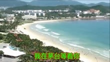 云南山歌我要茅台等着你