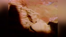 Eagles and Horses (from The Wildlife Concert)