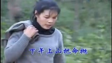 山歌剧丈母娘风流害全家