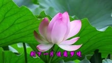  - 怀旧老歌送给朋友们