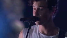 Shawn Mendes - In My Blood