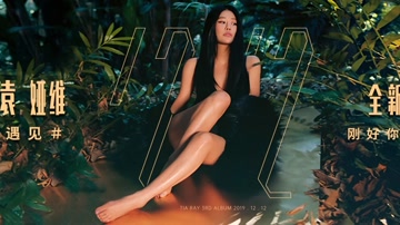 袁娅维 - 时间不解释