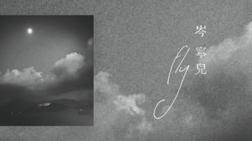 Fly