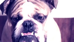 Trouble