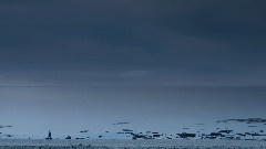 夕阳下的海滩