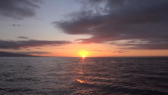 Cruising Galapagos