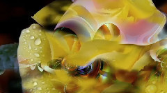 Colors Music