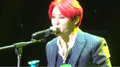 A Lover's Concerto