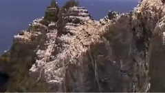 幽谷