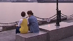何以爱情