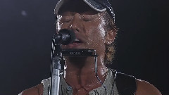 Stay Dream