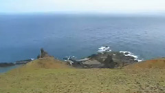 神秘园