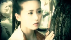情戒