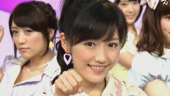 ラブラドール.レトリバー