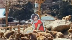 好多好多