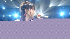 カブトムシ