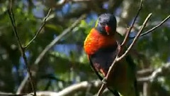 自然风光