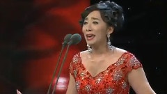 啊 我的虎子哥
