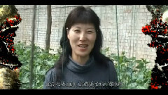 红梅
