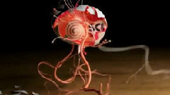 Science Channel Idents