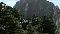 十面埋伏