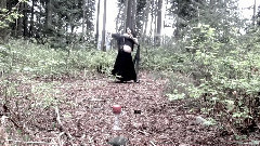 Танец живота