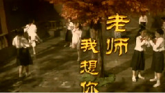老师我想你