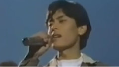 安妮