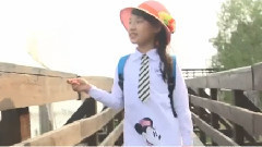 开心果