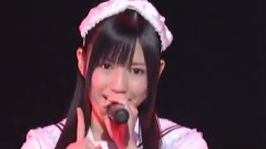 白いチューリップ AX