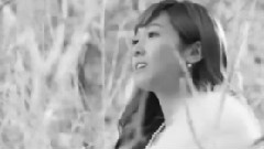 我的歌声里