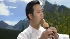 雪绒花