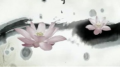 连年有鱼
