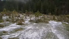 琵琶曲