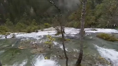 用心良苦