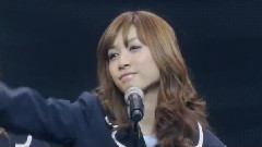 桜の花びらたち AX