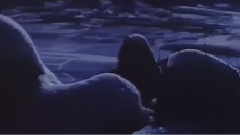 一棵青松托云天 电影<激战无名川>插曲