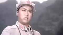 白莲花,洁白的花