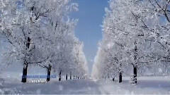 和平