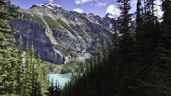 Bellos paisajes y flores con musica agradable
