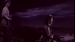 你是我心上的花 电影<阿诗玛>插曲